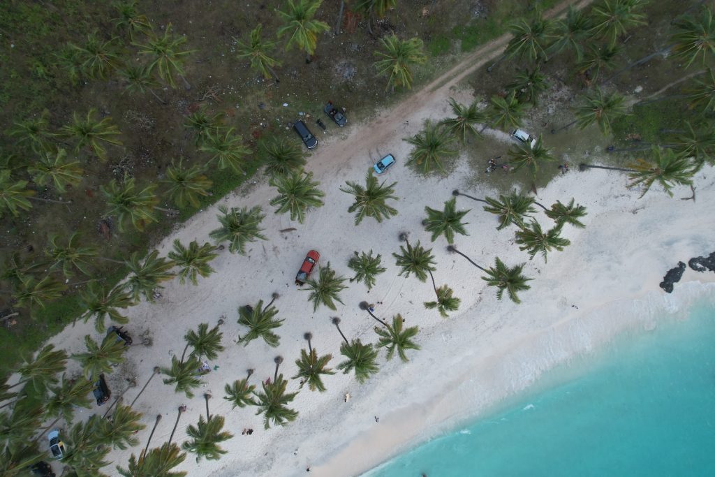an aerial view of a beach with palm trees