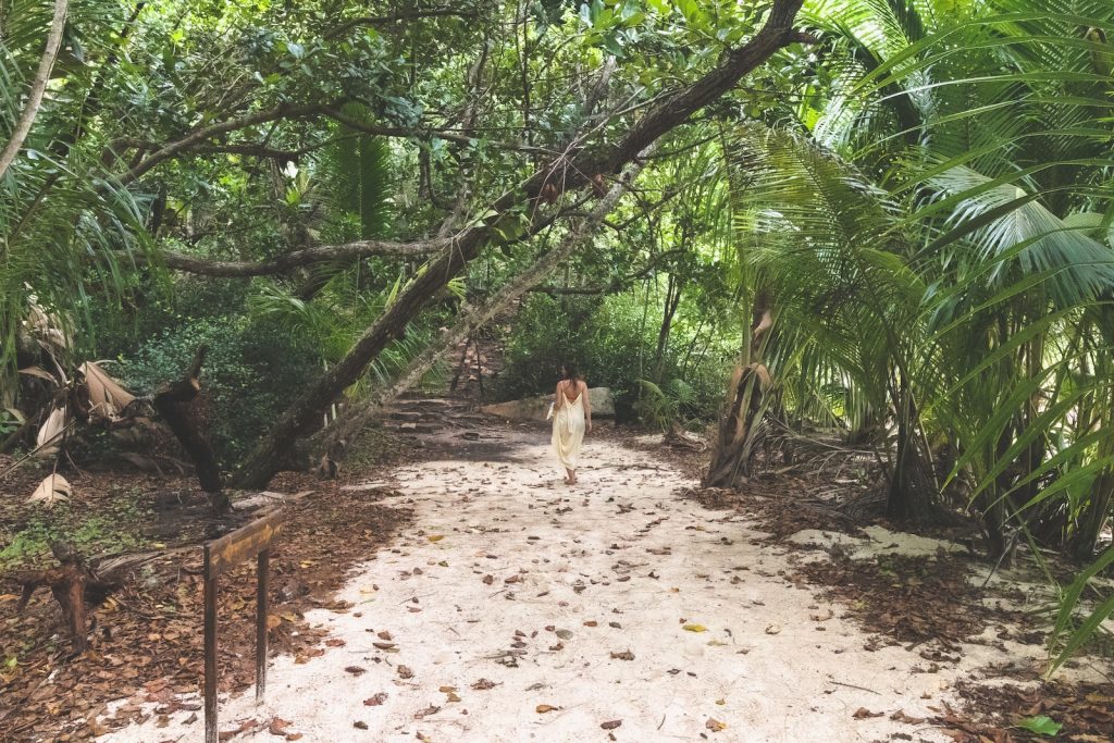 white and brown short coated dog walking on brown dirt road during daytime